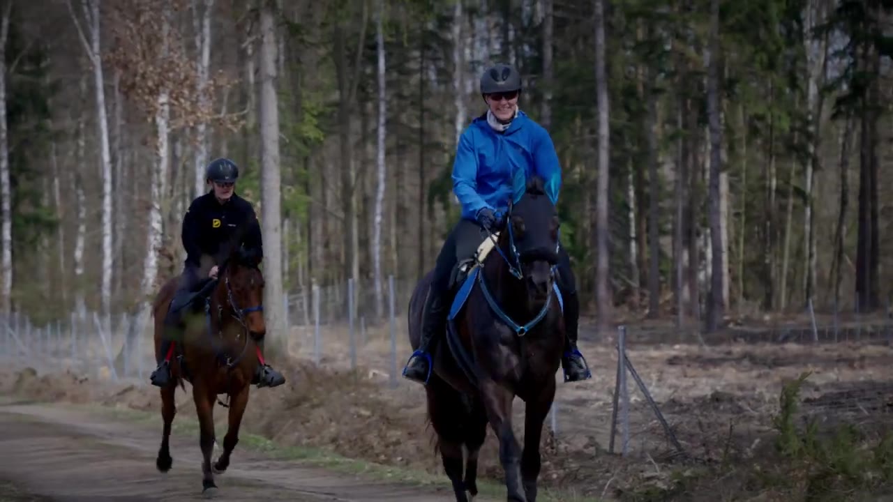 Distanzreiten in Sachsen – Eventvideo